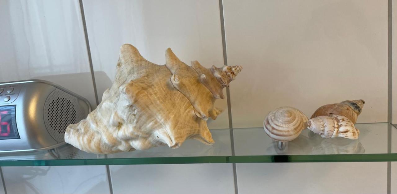 Casa Ingrid Daire Würzburg Dış mekan fotoğraf